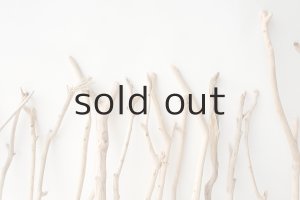 画像6: 小枝流木セット