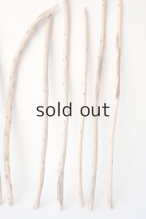 画像4: 棒流木セット