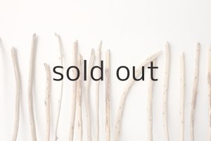 画像6: 棒流木セット