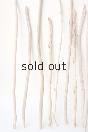 画像2: 棒流木セット