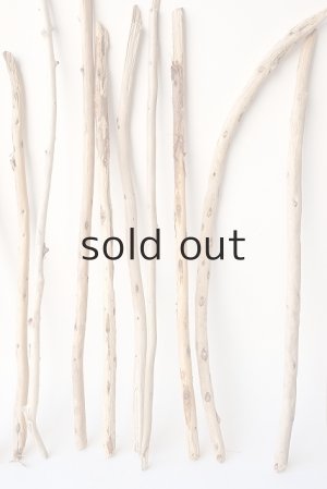 画像3: 棒流木セット