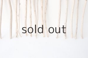 画像5: 棒流木セット