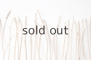 画像7: 棒流木セット