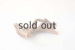 画像8: 変形流木