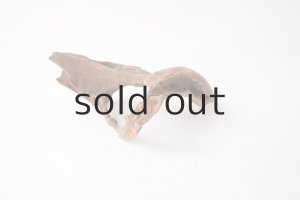 画像9: 変形流木