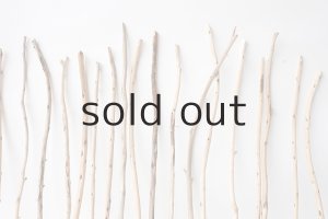 画像6: 棒流木セット