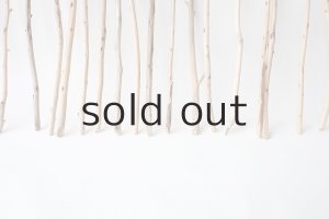 画像5: 棒流木セット