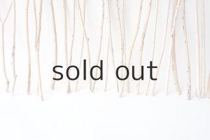 画像6: 棒流木セット