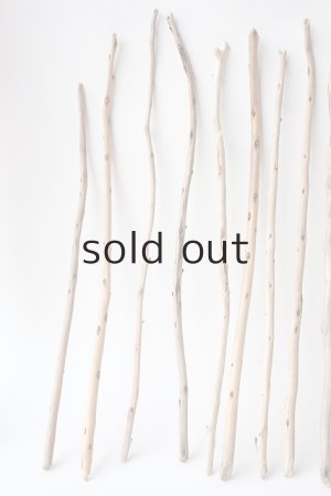 画像2: 棒流木セット