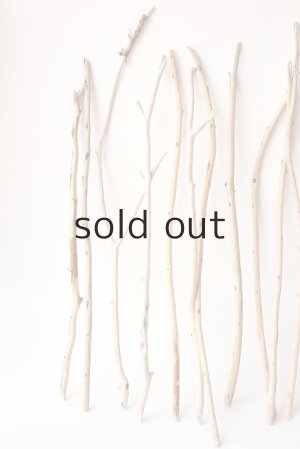 画像2: 棒流木セット