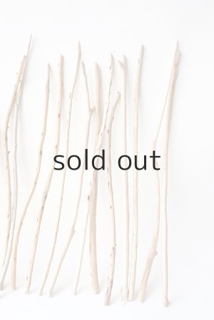 画像5: 棒流木セット