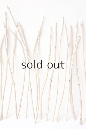 画像4: 棒流木セット