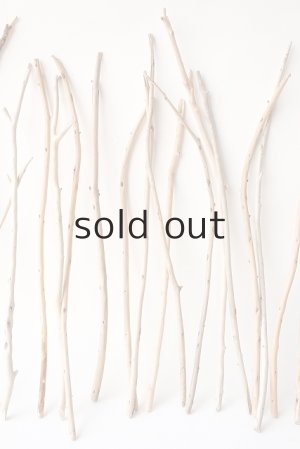 画像3: 棒流木セット