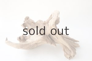 画像7: 変形流木・2019-2020シーズントップ使用流木