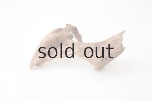 画像7: 変形流木