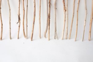 画像5: 棒流木セット