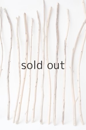 画像3: 棒流木セット