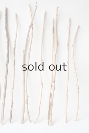 画像4: 棒流木セット