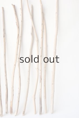 画像6: 棒流木セット