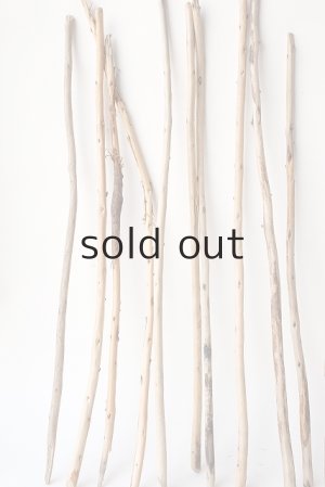 画像4: 棒流木セット