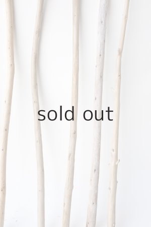 画像6: 棒流木セット