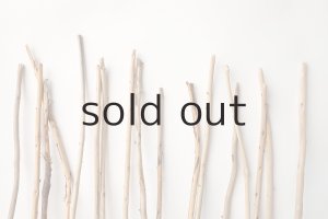 画像3: 棒流木セット