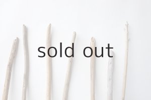 画像4: 棒流木セット