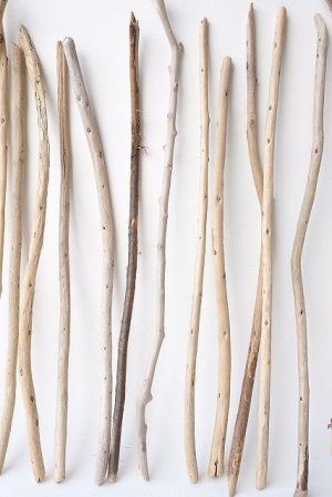 画像5: 棒流木セット