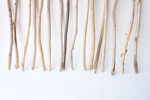 画像2: 棒流木セット