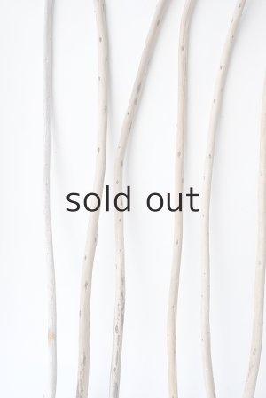 画像5: 棒流木セット