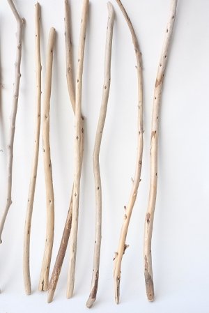 画像6: 棒流木セット