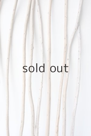 画像6: 棒流木セット