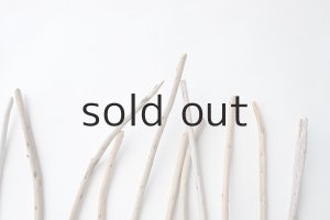 画像4: 棒流木セット