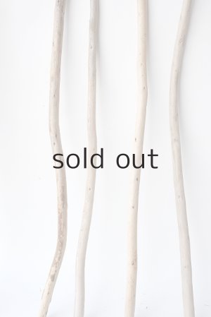 画像5: 棒流木セット