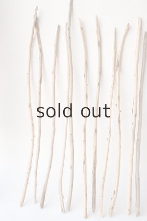 画像2: 棒流木・極細セット