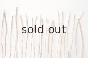 画像6: 棒流木・極細セット