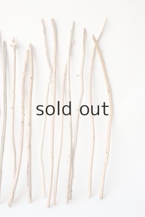 画像4: 棒流木・極細セット