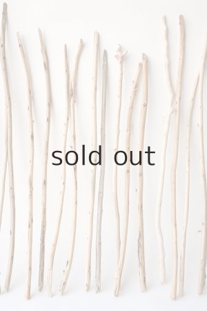 画像3: 棒流木・極細セット