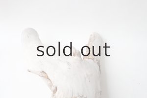 画像8: 変形流木