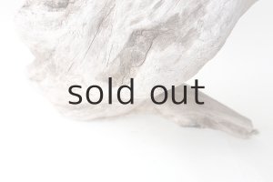 画像2: 変形流木