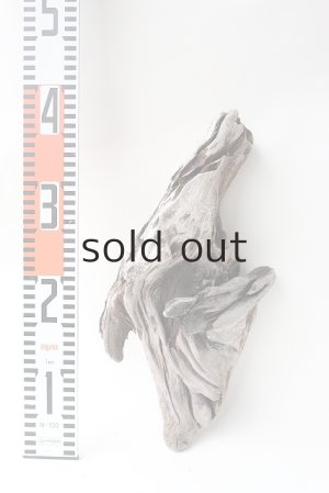 画像5: 変形流木