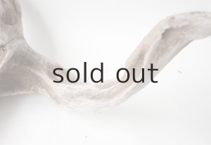 画像10: 変形流木