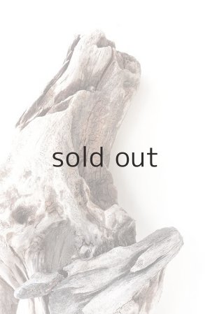 画像3: 変形流木