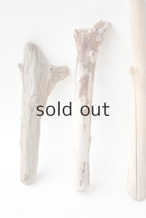 画像2: 小枝流木セット