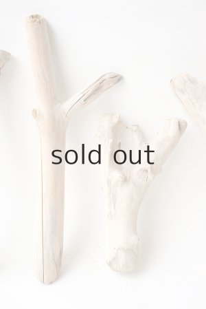 画像3: 小枝流木セット