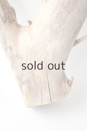 画像5: 変形流木