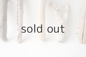 画像5: 小枝流木セット