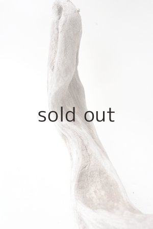 画像7: 変形流木