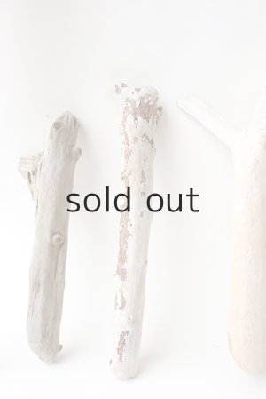 画像6: 小枝流木セット