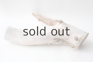 画像7: 変形流木